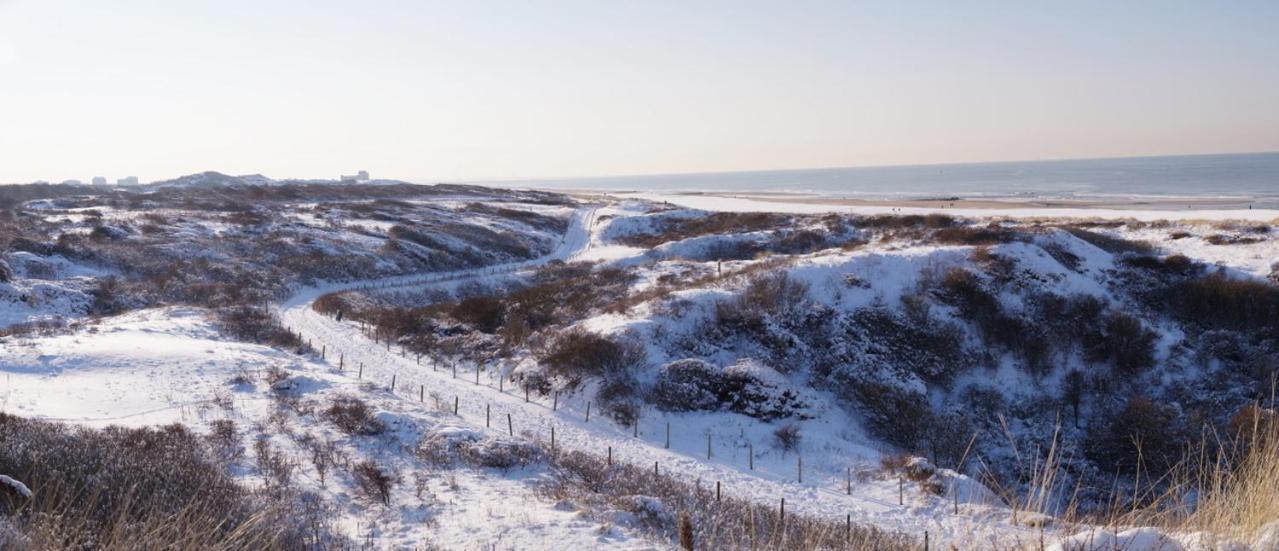 Dunes & Sea At Kijkduin The Hague Exterior photo